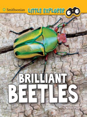 cover image of Brilliant Beetles
